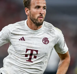 安切洛蒂的 安切洛蒂的