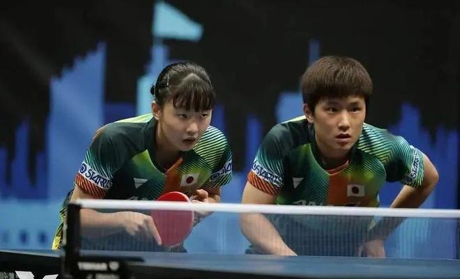 提供了极大 提供了极大